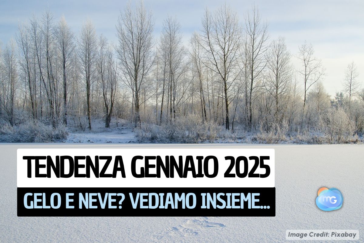 Articolo Gennaio 2025 gelido: FREDDO e NEVE in arrivo